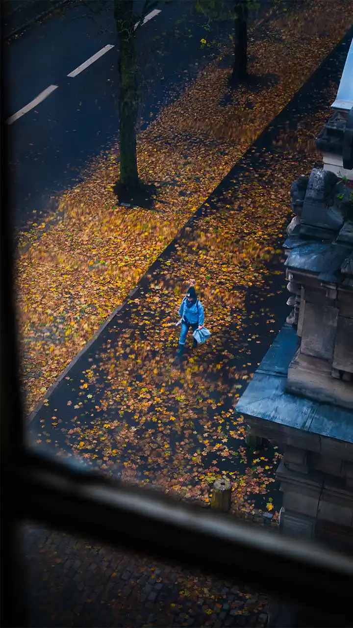 En contre-bas, une dame marche sur le trottoir parmis les feuilles tombées des arbres.